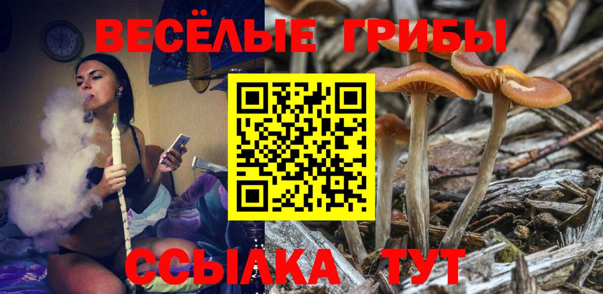Галлюциногенные грибы Cubensis Конаково