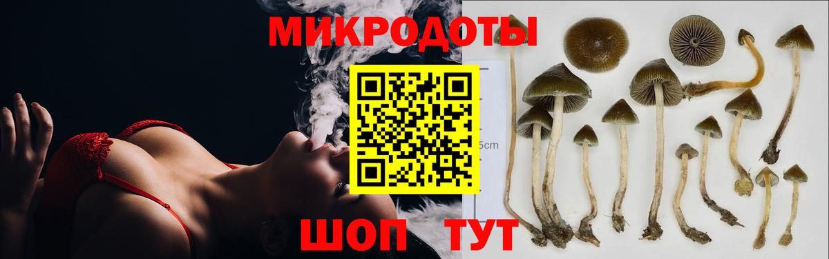 Псилоцибиновые грибы Psilocybe  Вход с VPN  как найти наркотики  Конаково 